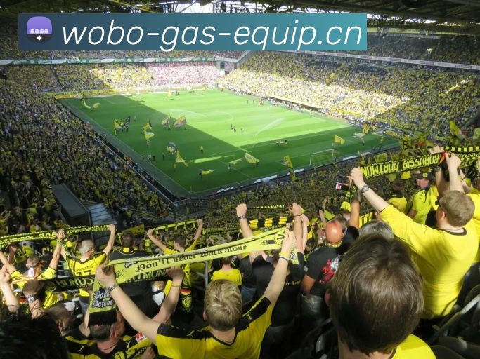 2018世界杯官网服务体系